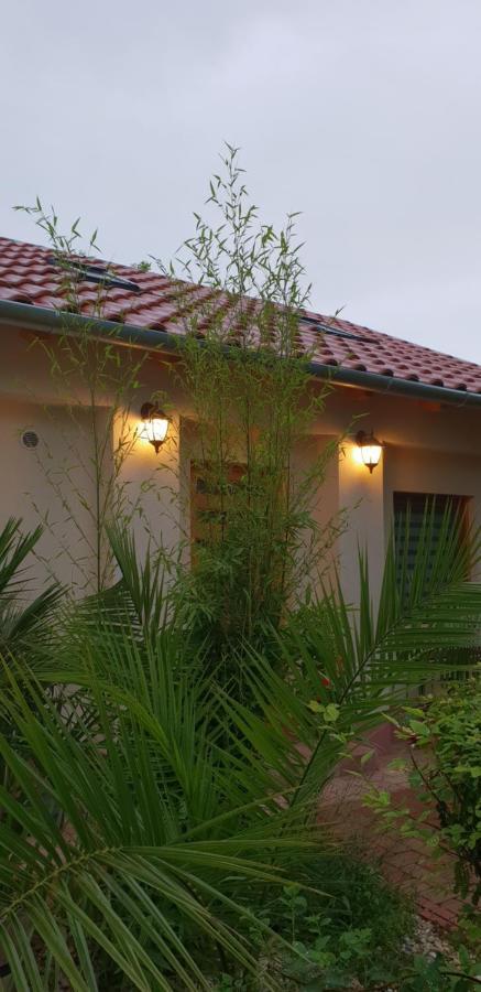 Fuered Deluxe Garden Apartment Balatonfüred Exterior foto